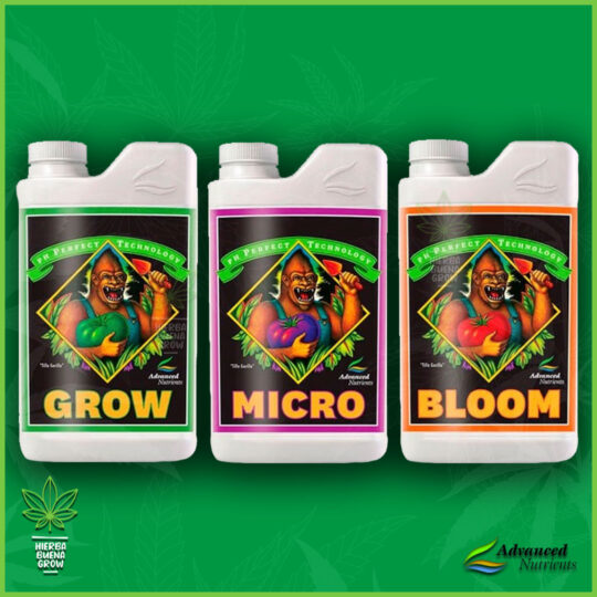 Bases - Grow Micro Bloom