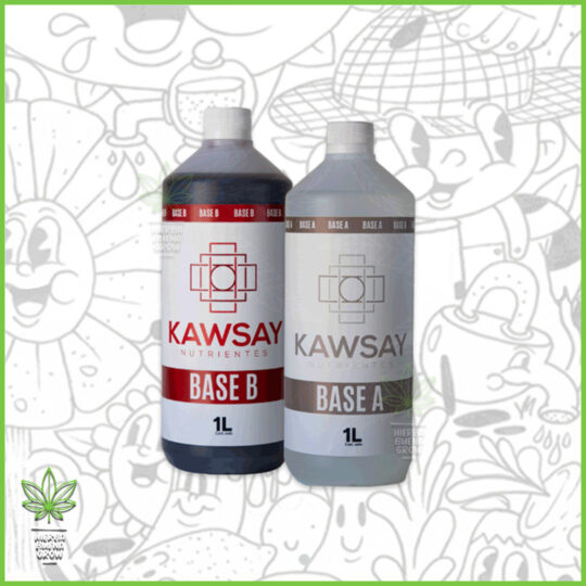 Kawsay - Combo - Bases A+B