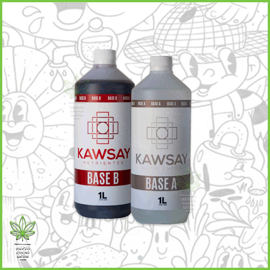 Kawsay - Combo - Bases A+B