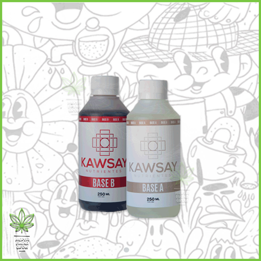 Kawsay - Combo - Bases A+B - Imagen 2