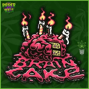 Ripper – Brain Cake – 70% Sativa / 30% Indica