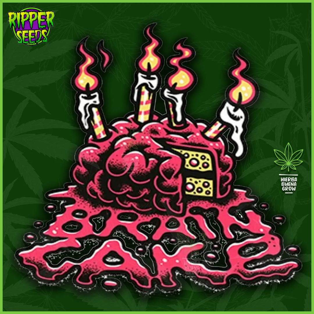Ripper – Brain Cake – 70% Sativa / 30% Indica