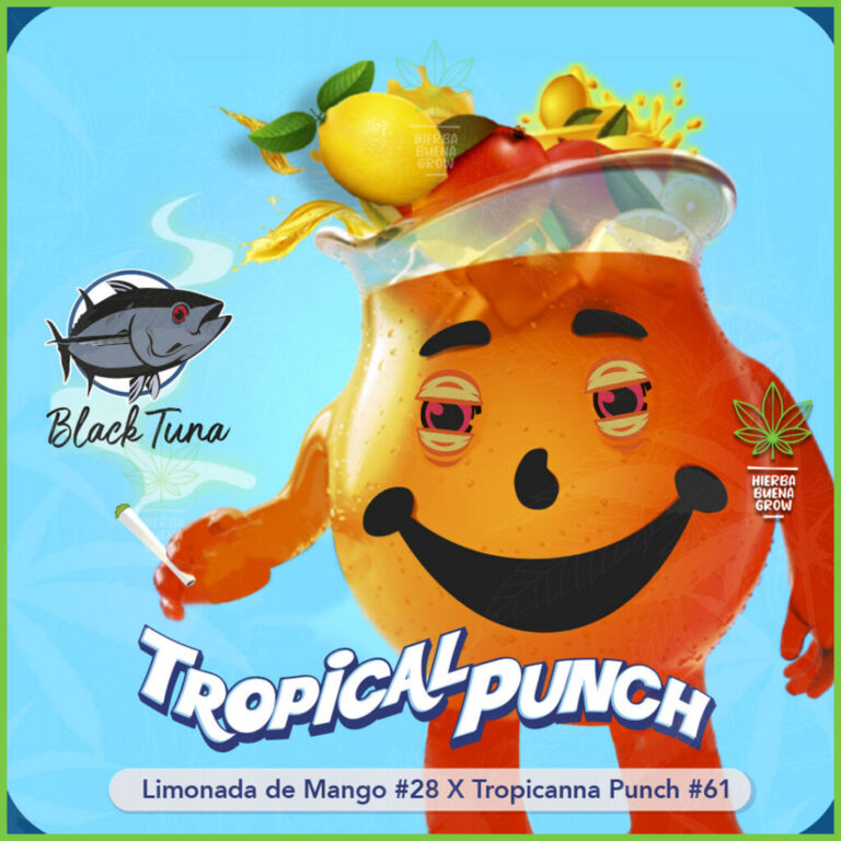 Black Tuna - Tropical Punch - 40% Índica / 60% Sativa