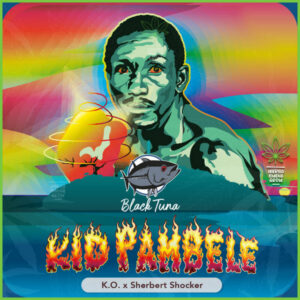 Black Tuna - Kid Pambele - 40% Índica / 60% Sativa