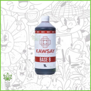 Kawsay - Base B