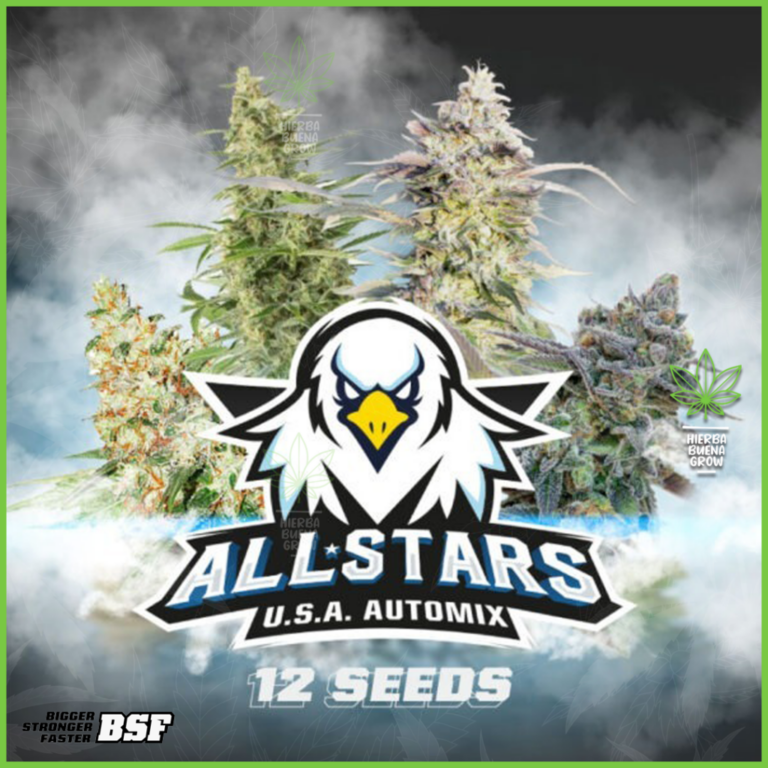 BSF - All Stars USA Automix - Imagen 2