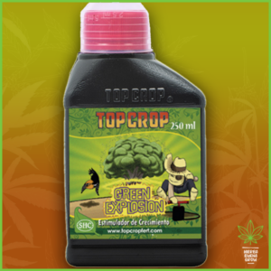 Top Crop - Green Explosion