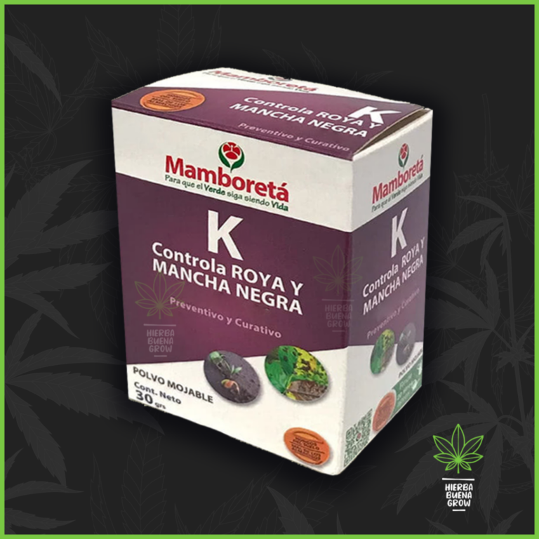 Mamboreta - K