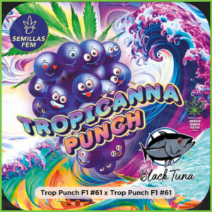 Black Tuna - Tropicanna Punch - Sativa 60% Indica 40%