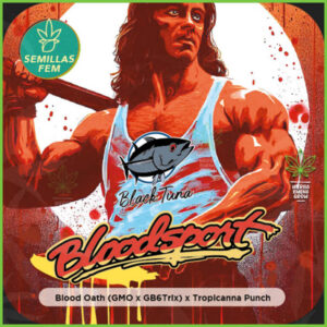 Black Tuna - Bloodsport - 60% indica / 40% sativa