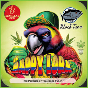 Black Tuna - El Happy Lora - 70% indica / 30% sativa