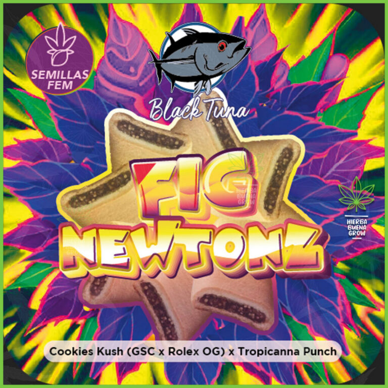 Black Tuna - Fig Newtonz - 70% indica / 30% sativa