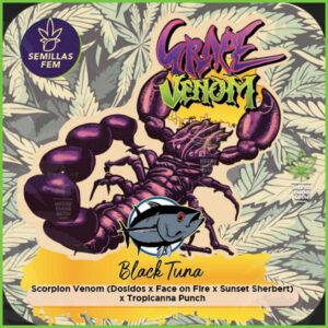 Black Tuna - Grape Venom - 40% Índica / 60% Sativa