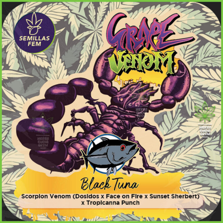 Black Tuna - Grape Venom - 40% Índica / 60% Sativa