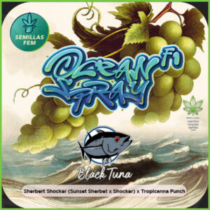 Black Tuna - Ocean Spray  - 60% Índica / 40% Sativa