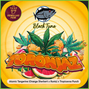Black Tuna - Toranjaz - 60% Índica / 40% Sativa