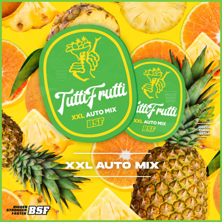BSF - Tutti Fruty Automix