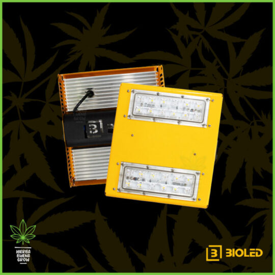 Bioled - 110i - 100W