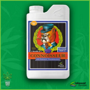 Connoisseur - Bloom - Parte A