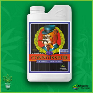 Connoisseur - Bloom - Parte B