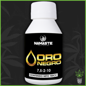 Namaste - Oro Negro