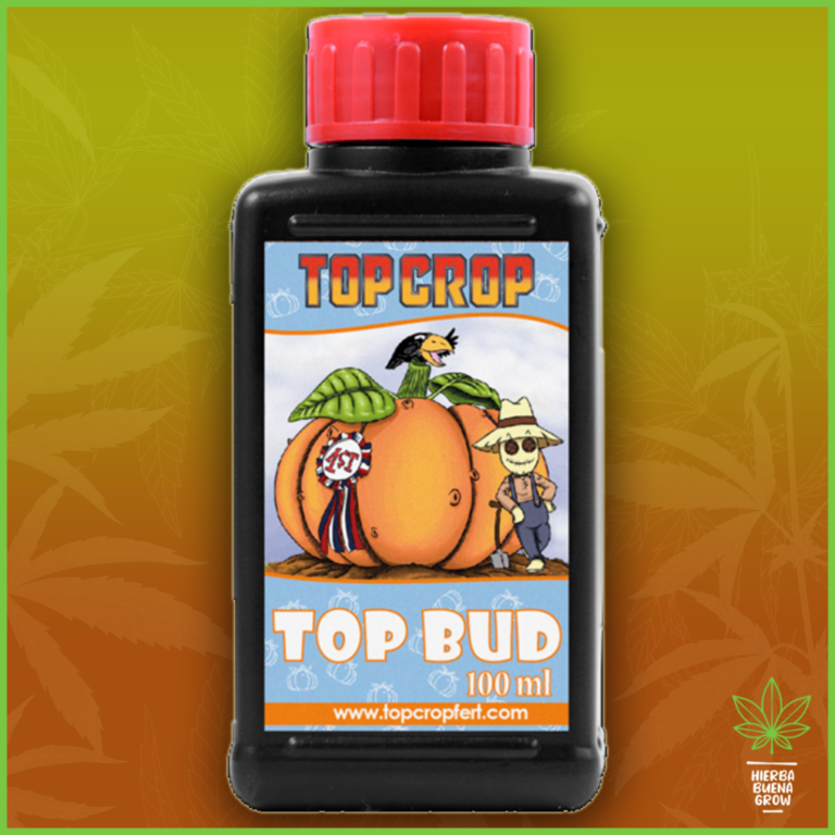 Top Crop - Top Bud - Imagen 2