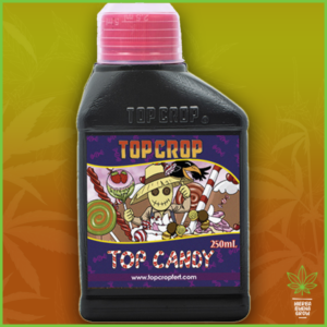 Top Crop - Top Candy