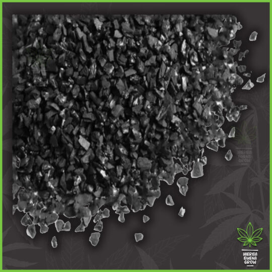 Carbon Activado