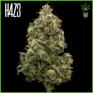 H4Z3 – Acid Guava (Drop Peach Crescendo)