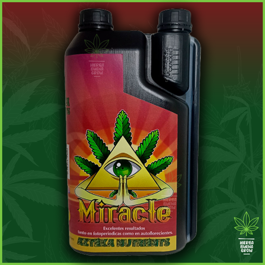 Azteka - Miracle - Imagen 3