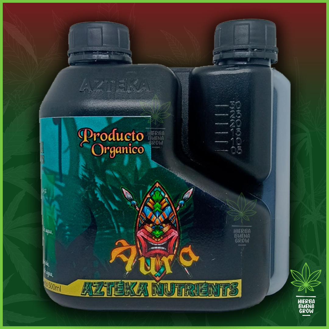 Azteka - Aura - Imagen 2