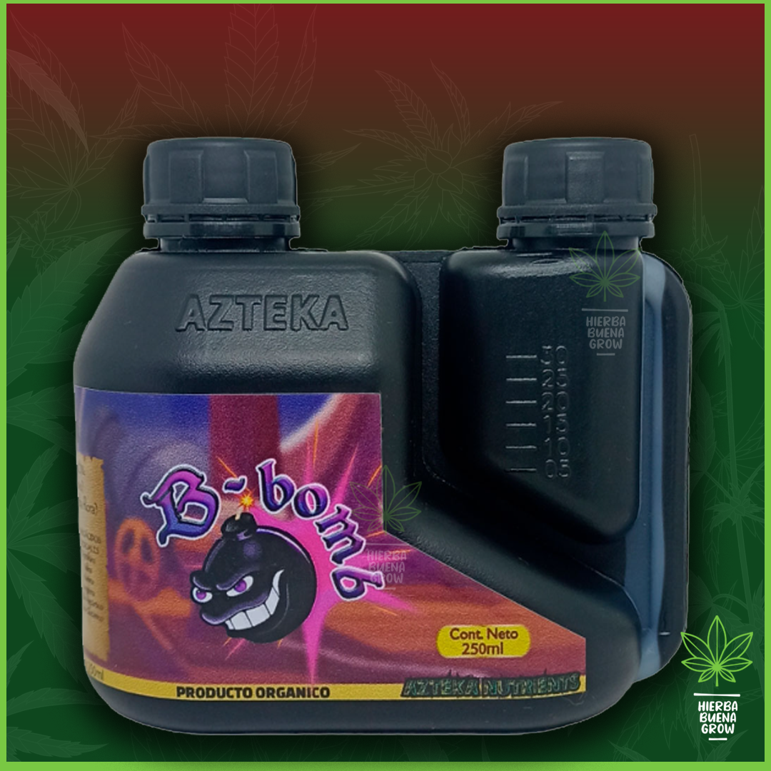 Azteka - B Bomb