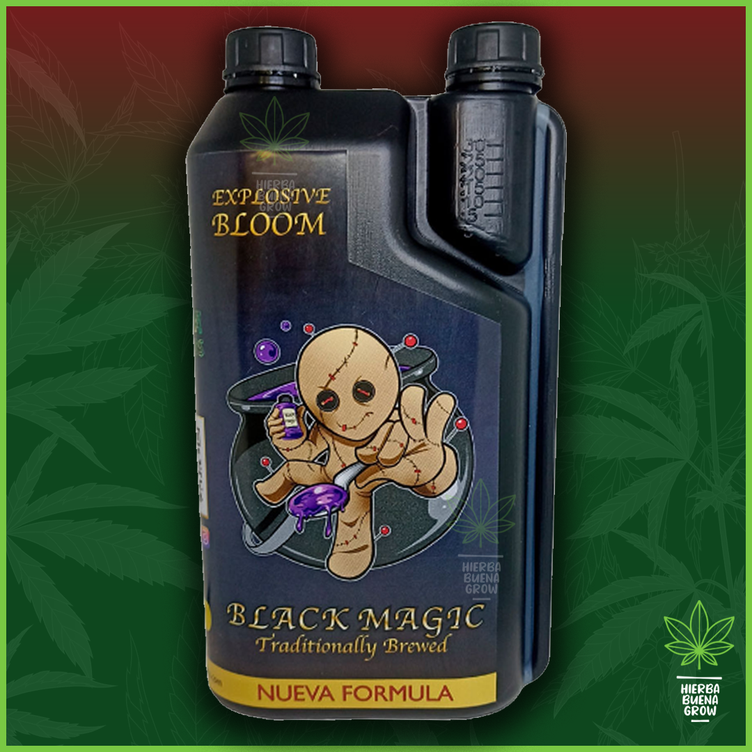 Azteka - Black Magic - Imagen 3