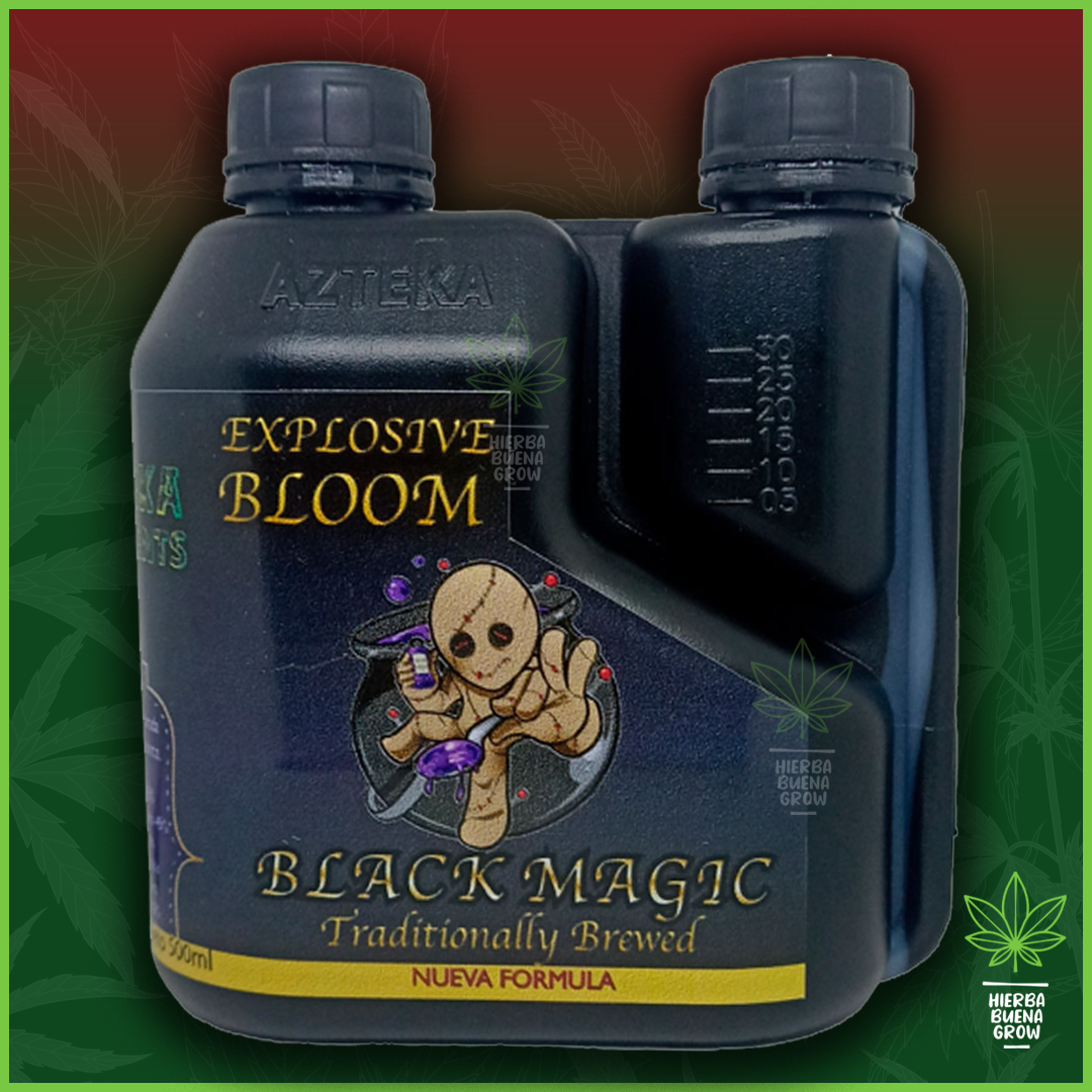Azteka - Black Magic - Imagen 2