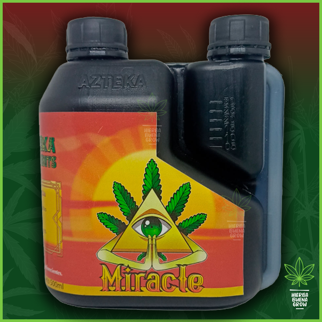 Azteka - Miracle - Imagen 2