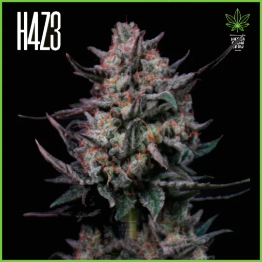 H4Z3 – Exotic Mints (Drop Radical Juice)