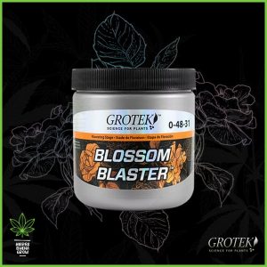 Grotek - Blossom Blaster