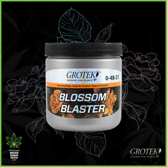 Grotek - Blossom Blaster