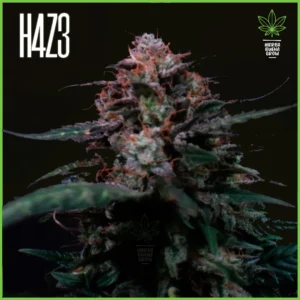 H4Z3 – Skunkie (Drop Radical Juice)