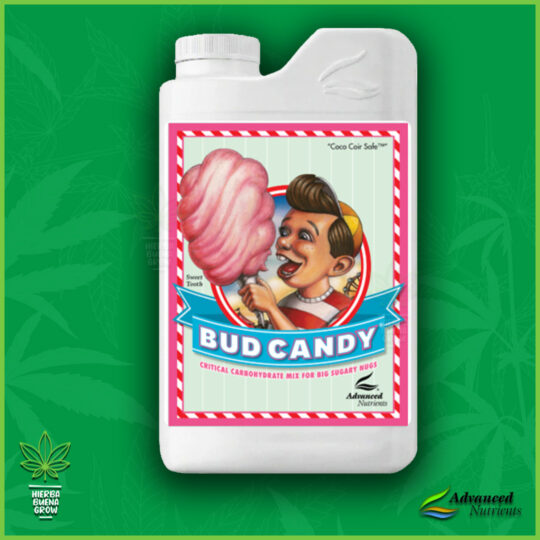 Bud Candy
