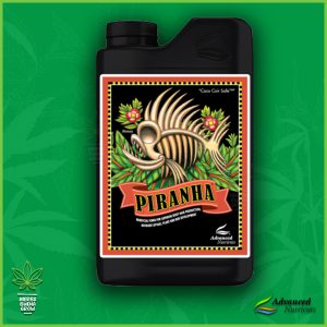 Piranha