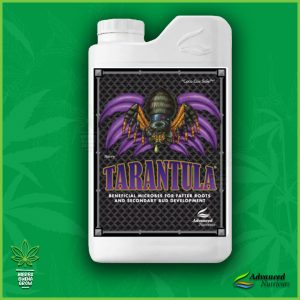 Tarantula
