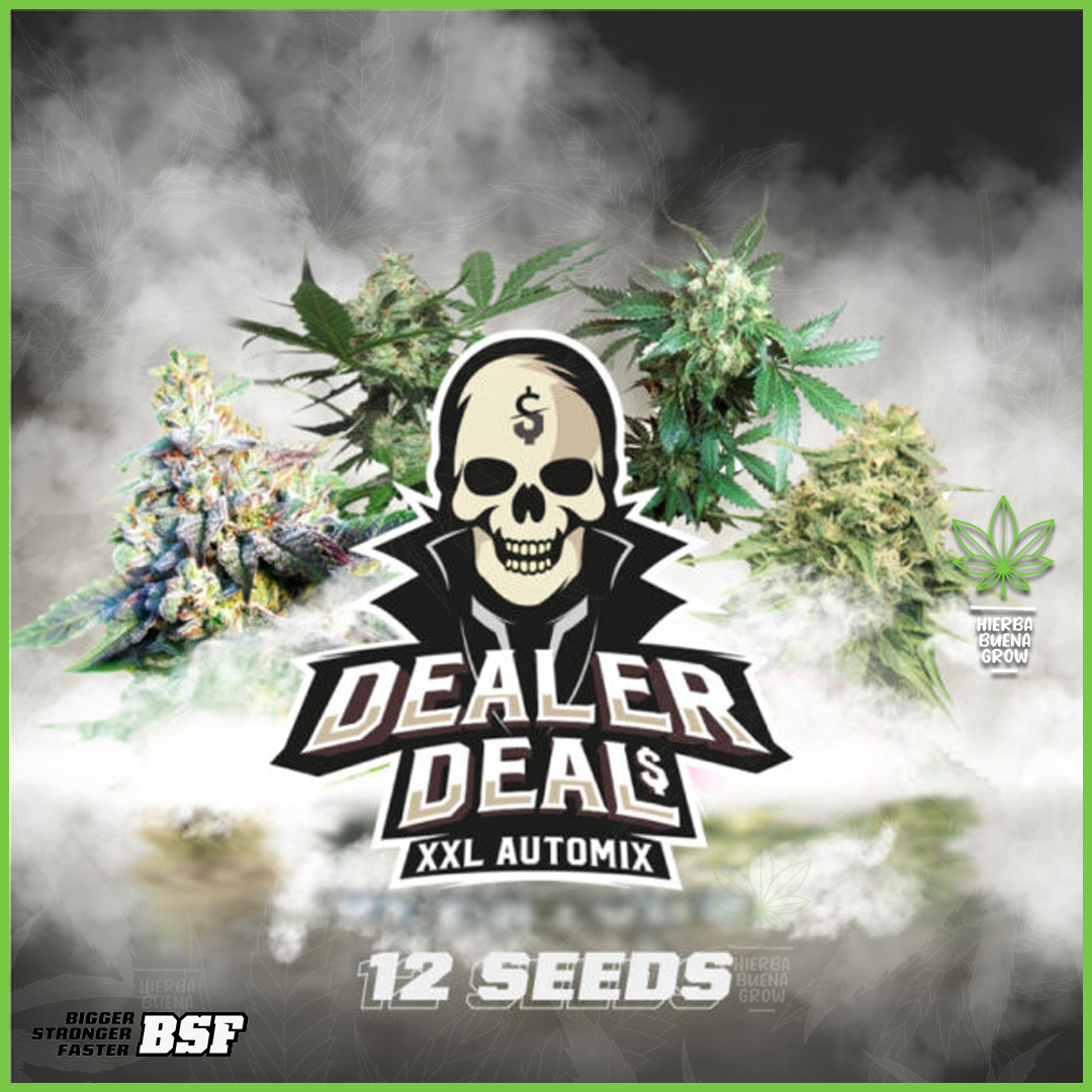 BSF - Dealer Deal XXL Automix