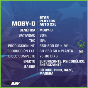 BSF - Moby-D XXL Auto - 80% Sativa / 20% Indica