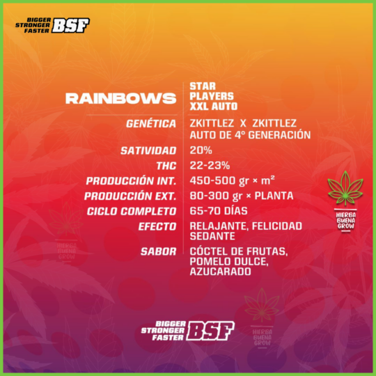 BSF - Rainbows - 80% Indica / 20% Sativa