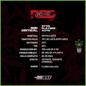 BSF - Red Critical Auto - 20% Sativa / 80% Indica