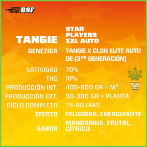 BSF - Tangie XXL Auto - 70% Sativa / 30% Indica