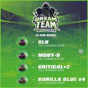 BSF - Dream Team Feminized Mix