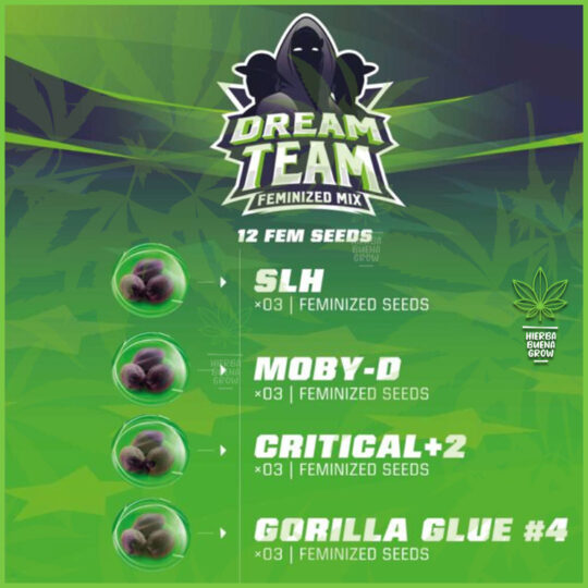 BSF - Dream Team Feminized Mix