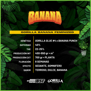 BSF - Gorilla Banana - 60% Sativa / 40% Indica